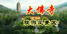 大鸡巴肏骚逼2022.中国浙江-新昌大佛寺旅游风景区